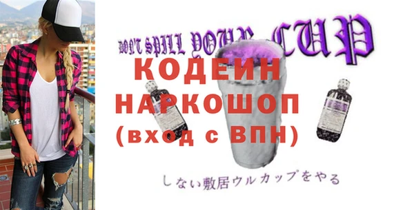 сатива Ельня
