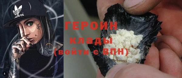 ГАЛЛЮЦИНОГЕННЫЕ ГРИБЫ Дмитриев