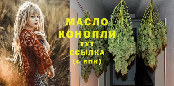ГАЛЛЮЦИНОГЕННЫЕ ГРИБЫ Дмитриев