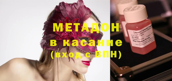 ГАЛЛЮЦИНОГЕННЫЕ ГРИБЫ Дмитриев