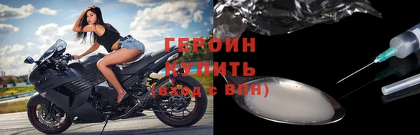 ГАЛЛЮЦИНОГЕННЫЕ ГРИБЫ Дмитриев
