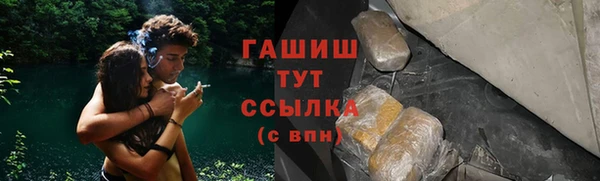 ГАЛЛЮЦИНОГЕННЫЕ ГРИБЫ Дмитриев