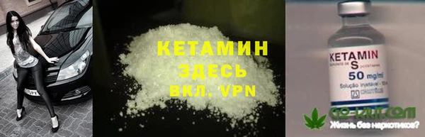 ГАЛЛЮЦИНОГЕННЫЕ ГРИБЫ Дмитриев