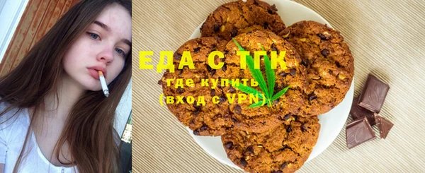 ГАЛЛЮЦИНОГЕННЫЕ ГРИБЫ Дмитриев