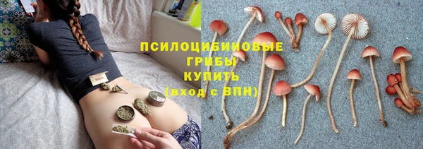метамфетамин Дмитров