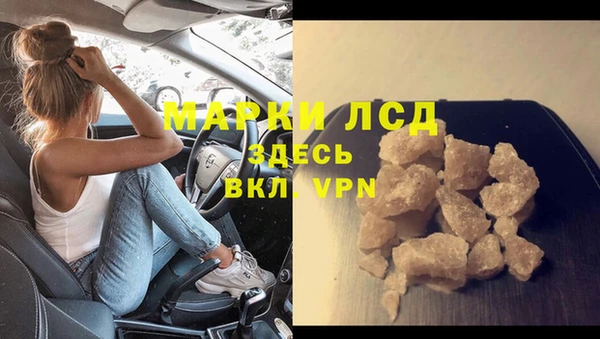 ГАЛЛЮЦИНОГЕННЫЕ ГРИБЫ Дмитриев