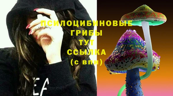 ГАЛЛЮЦИНОГЕННЫЕ ГРИБЫ Дмитриев
