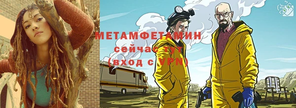 ГАЛЛЮЦИНОГЕННЫЕ ГРИБЫ Дмитриев
