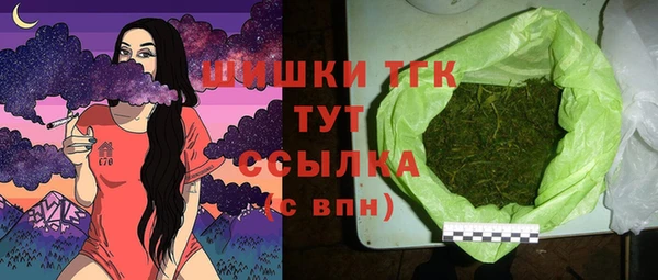 ГАЛЛЮЦИНОГЕННЫЕ ГРИБЫ Дмитриев