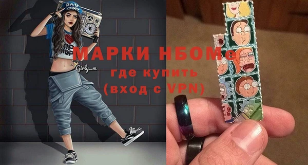 ГАЛЛЮЦИНОГЕННЫЕ ГРИБЫ Дмитриев