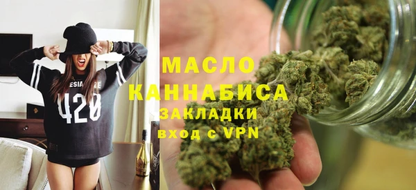 ГАЛЛЮЦИНОГЕННЫЕ ГРИБЫ Дмитриев