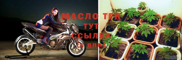 ГАЛЛЮЦИНОГЕННЫЕ ГРИБЫ Дмитриев