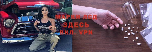 ГАЛЛЮЦИНОГЕННЫЕ ГРИБЫ Дмитриев